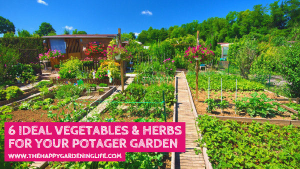 6 Ideal Vegetables & Herbs For Your Potager Garden – The Happy 