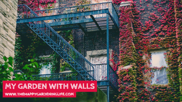 My Garden With Walls