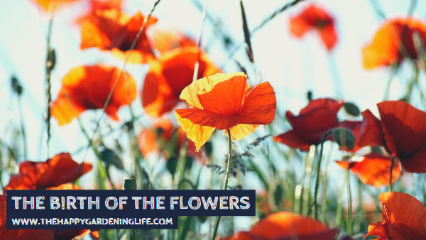 The Birth Of The Flowers
