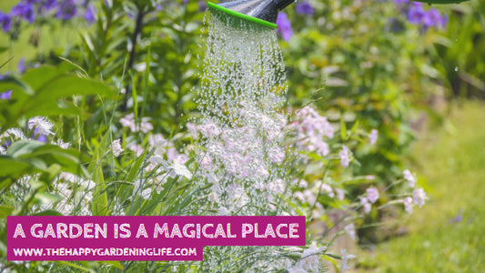 A Garden Is A Magical Place