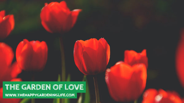 The Garden Of Love