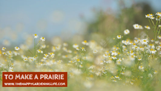 To Make A Prairie