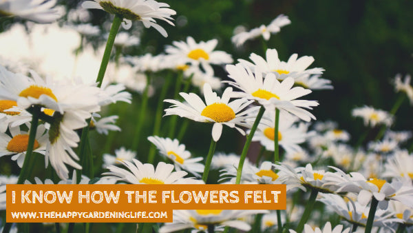 I Know How The Flowers Felt