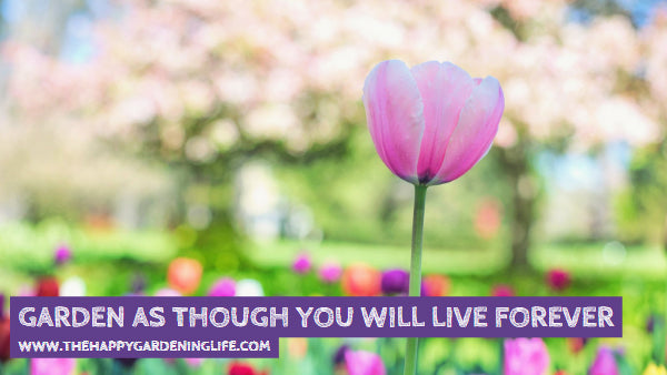 Garden As Though You Will Live Forever