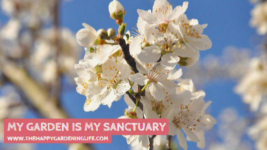 My Garden Is My Sanctuary