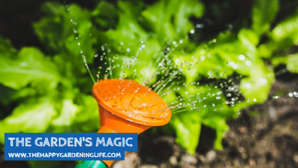The Garden's Magic