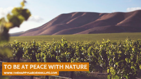 To Be At Peace With Nature