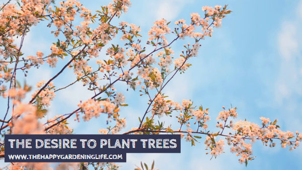 The Desire To Plant Trees