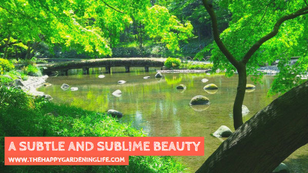 A Subtle And Sublime Beauty