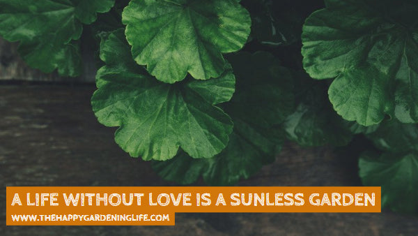 A Life Without Love Is A Sunless Garden
