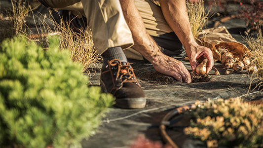 October Garden Chores