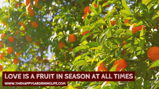 Love Is A Fruit In Season At All Times