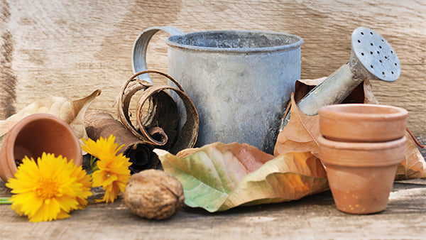 September Garden Chores