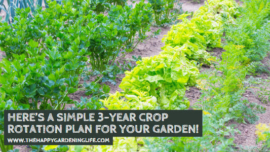 Here’s a Simple 3-Year Crop Rotation Plan for Your Garden!