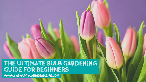 The Ultimate Bulb Gardening Guide for Beginners