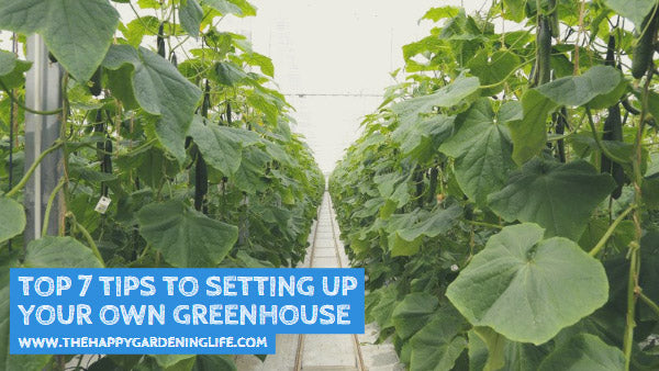 Top 7 Tips to Setting Up Your Own Greenhouse