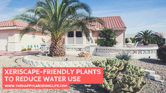 Xeriscape-Friendly Plants to Reduce Water Use