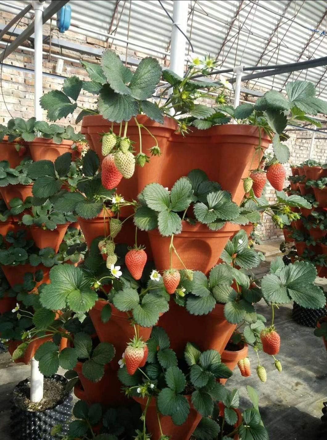 Mr. Stacky 5-Tier Stackable Planter