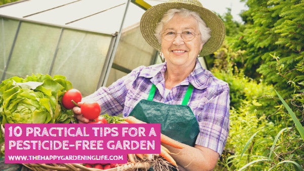 10 Practical Tips for a Pesticide-Free Garden