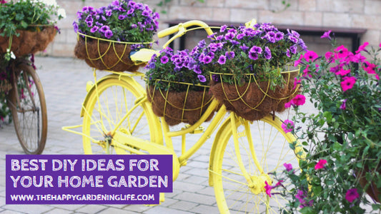 Best DIY Ideas for Your Home Garden