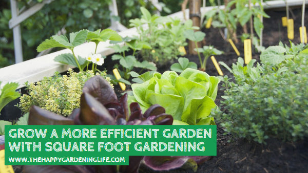 Grow a More Efficient Garden with Square Foot Gardening
