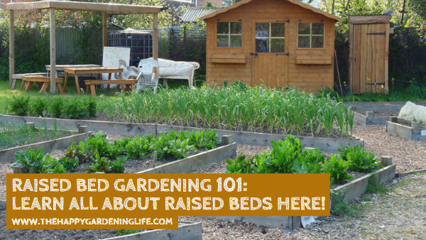 Raised Bed Gardening 101: Learn All About Raised Beds Here!