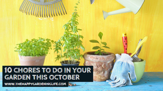 10 Chores to Do in Your Garden In October