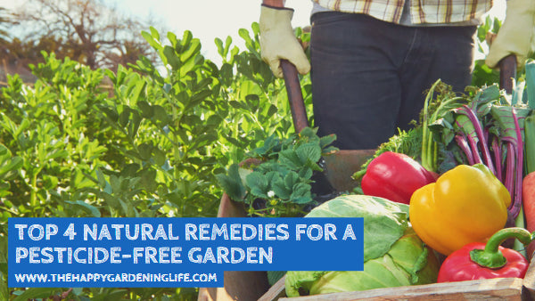 Top 4 Natural Remedies for a Pesticide-Free Garden