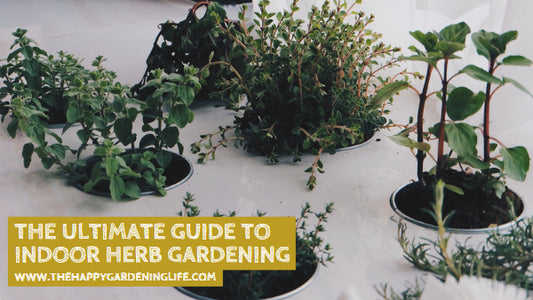 The Ultimate Guide to Indoor Herb Gardening
