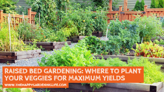 Raised Bed Gardening: Where to Plant Your Veggies for Maximum Yields