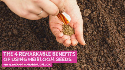 The 4 Remarkable Benefits of Using Heirloom Seeds