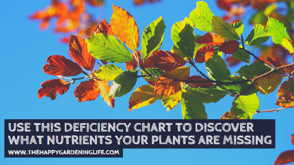 Use This Deficiency Chart to Discover What Nutrients Your Plants are Missing
