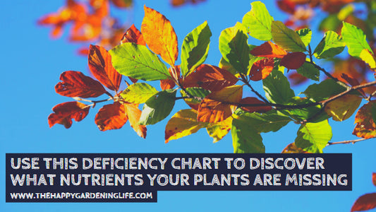 Use This Deficiency Chart to Discover What Nutrients Your Plants are Missing