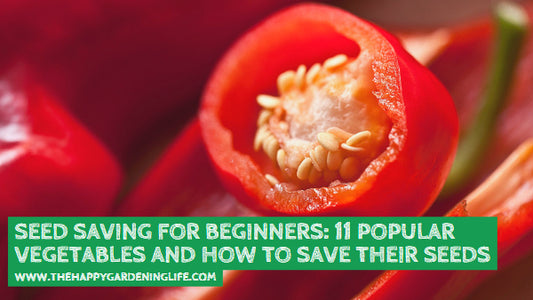 Seed Saving for Beginners: 11 Popular Vegetables and How to Save Their Seeds