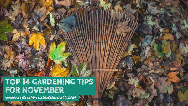 Top 14 Gardening Tips for November