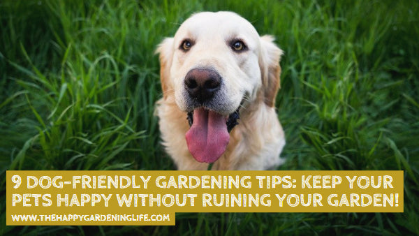9 Dog-Friendly Gardening Tips: Keep Your Pets Happy Without Ruining Your Garden!