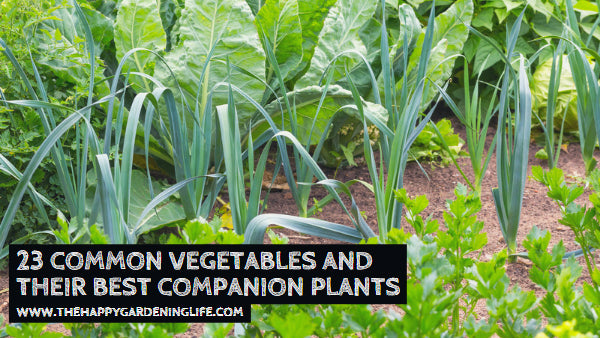 23 Common Vegetables and Their Best Companion Plants