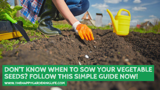 Don’t Know When to Sow Your Vegetable Seeds? Follow This Simple Guide Now!