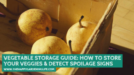 Vegetable Storage Guide: How to Store Your Veggies & Detect Spoilage Signs