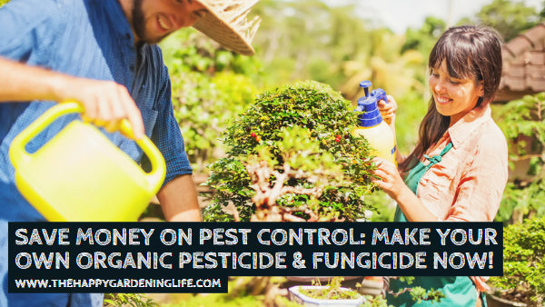 Save Money on Pest Control: Make Your Own Organic Pesticide & Fungicide Now!