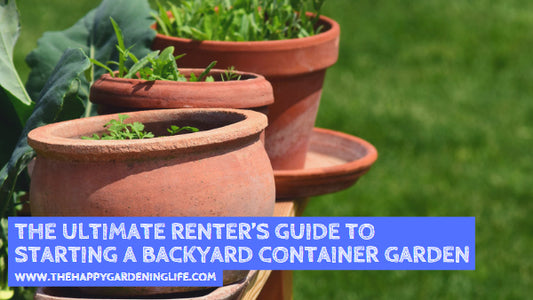 The Ultimate Renter’s Guide to Starting a Backyard Container Garden