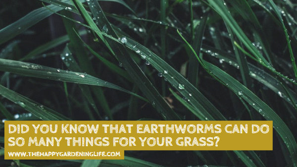 Did You Know That Earthworms Can Do So Many Things For Your Grass? Click Here to Learn More…