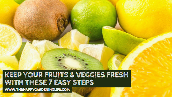 Wondering How to Keep Your Fruits & Veggies Fresh? These 7 Easy Steps Will Help You