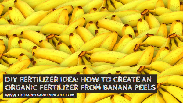 DIY Fertilizer Idea: How to Create an Organic Fertilizer from Banana Peels