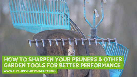 How to Sharpen Your Pruners & Other Garden Tools for Better Performance