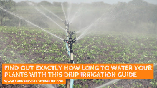 Find Out Exactly How Long to Water Your Plants With This Drip Irrigation Guide