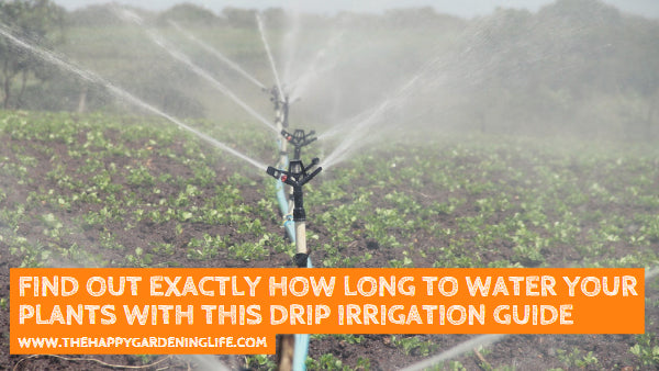 Find Out Exactly How Long to Water Your Plants With This Drip Irrigation Guide