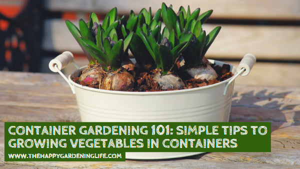 Container Gardening 101: Simple Tips to Growing Vegetables in Containers