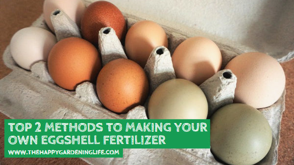 Top 2 Methods to Making Your Own Eggshell Fertilizer