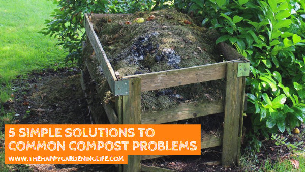 5 Simple Solutions to Common Compost Problems